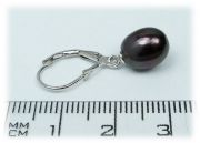 Stříbrné náušnice E1855BL s černou perlou