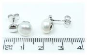 Stříbrné náušnice 29-2141 s perlou